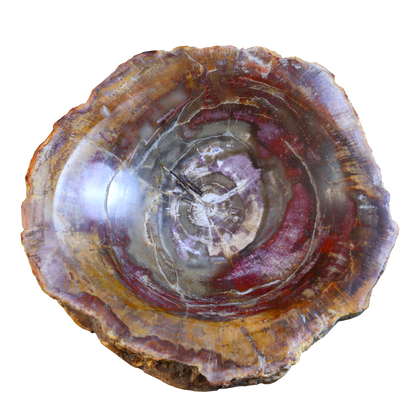 Petrified Wood Bowl