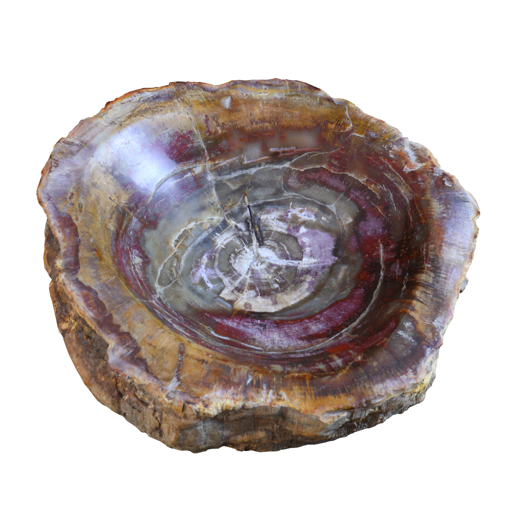 Petrified Wood Bowl