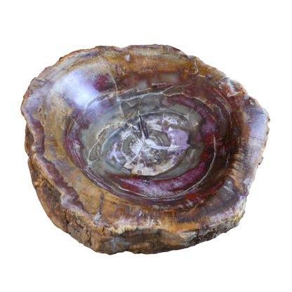 Petrified Wood Bowl