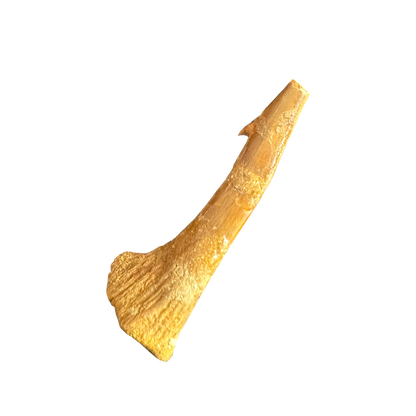 Sawfish Bard