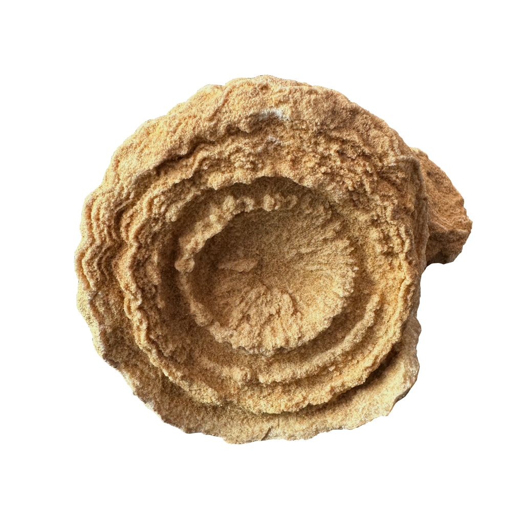 Stromatolite