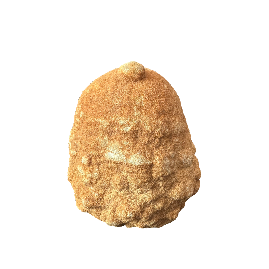 Stromatolite