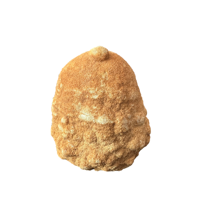 Stromatolite