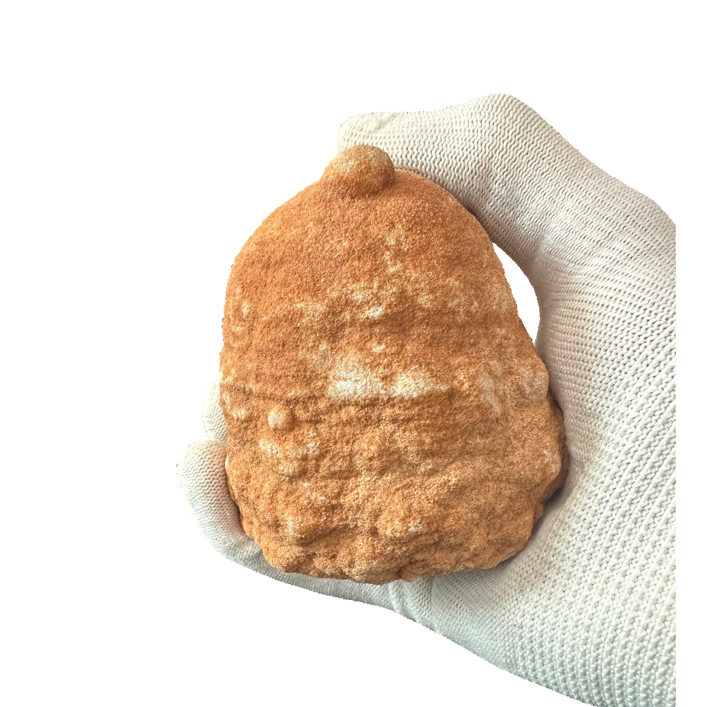 Stromatolite