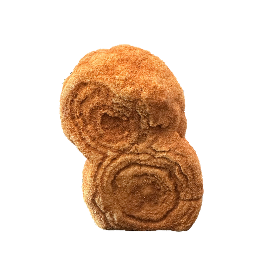 Stromatolite