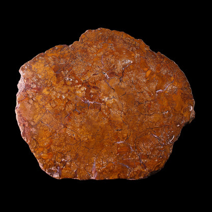 Petrified Wood Plate