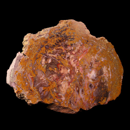 Petrified Wood Plate
