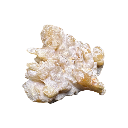 Aragonite