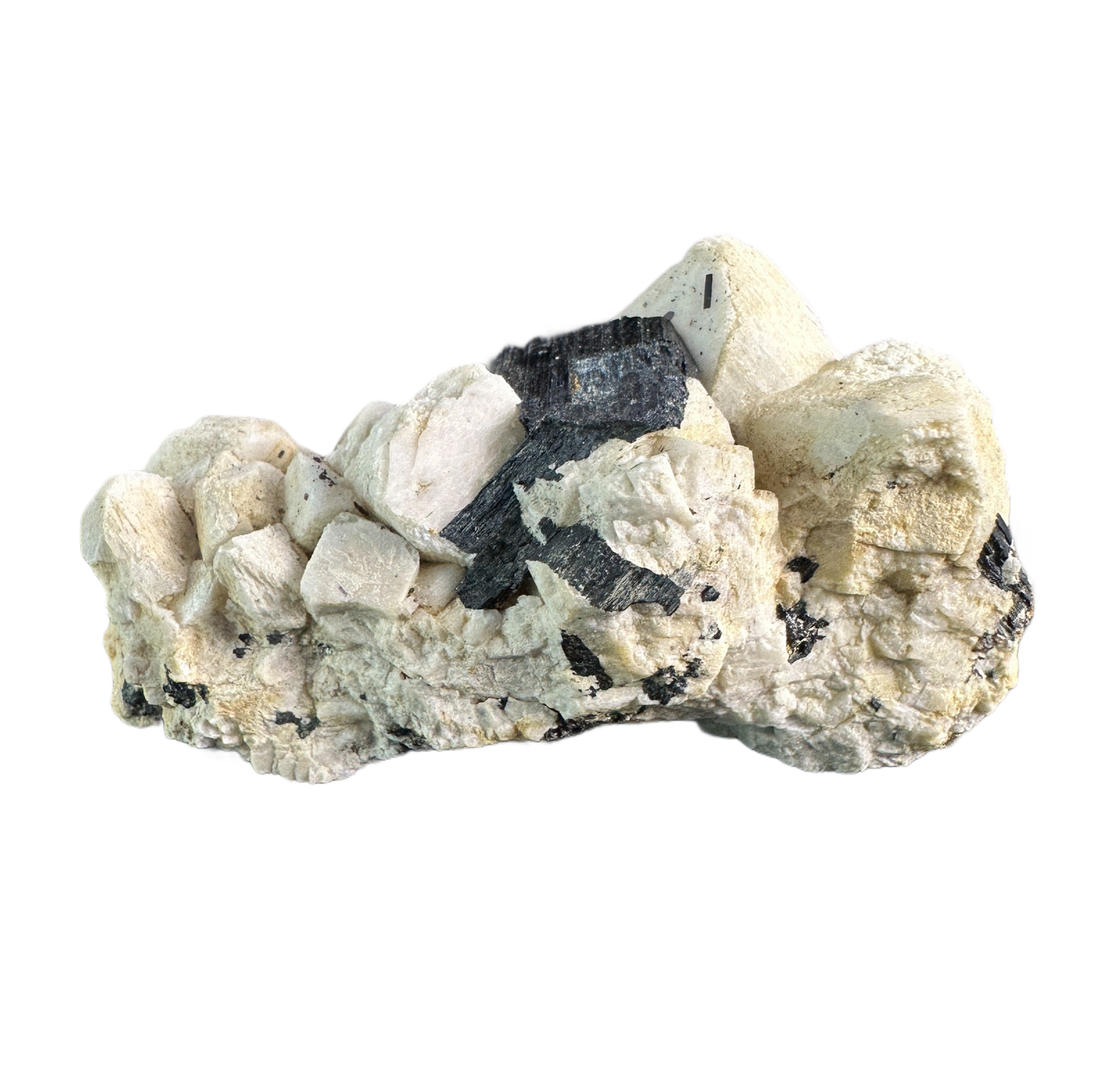 Schorl on Albite