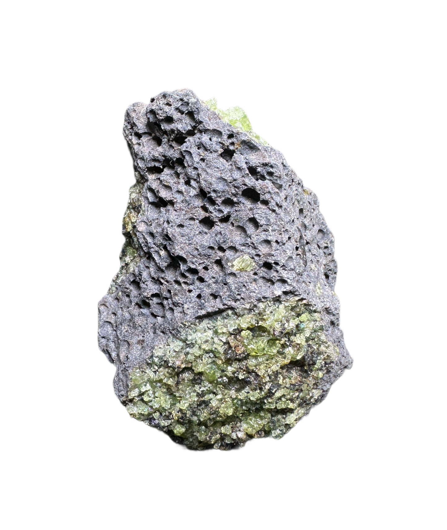 Olivine in Basalt Matrix