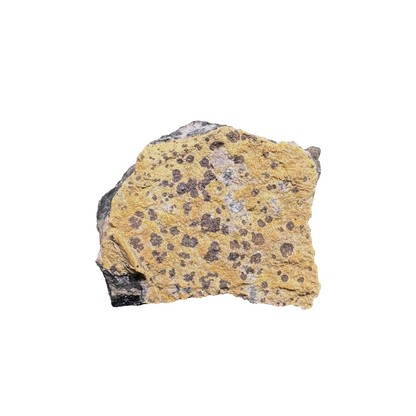 Galena with Baryte & Cacite
