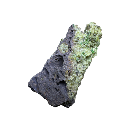 Olivine in Basalt Matrix