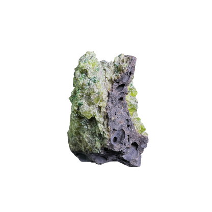 Olivine in Basalt Matrix