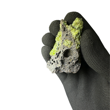Olivine in Basalt Matrix