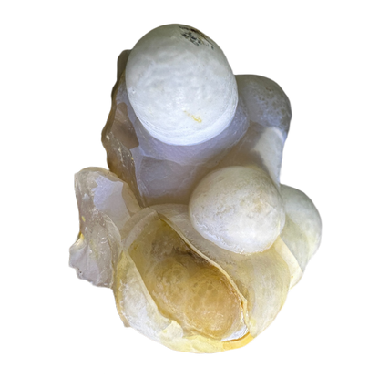 Botryoidal Chalcedony