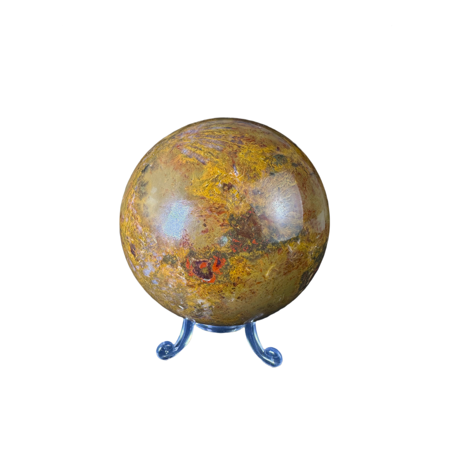 Petrified Wood Sphere