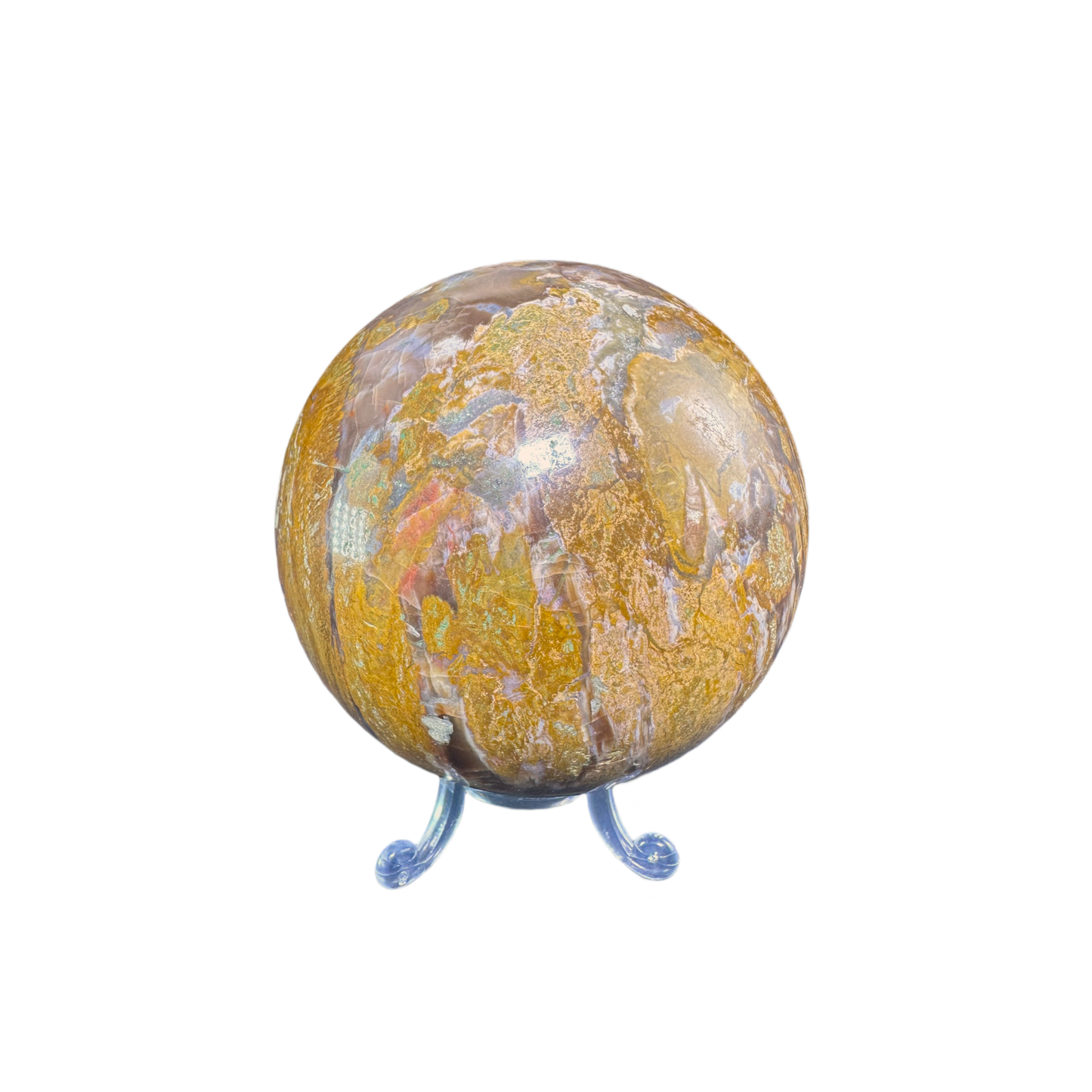 Petrified Wood Sphere