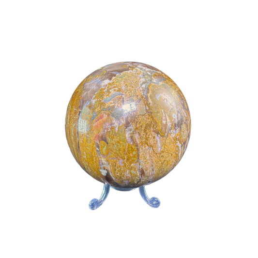 Petrified Wood Sphere
