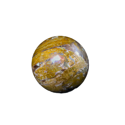 Petrified Wood Sphere