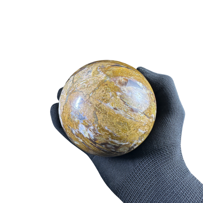 Petrified Wood Sphere