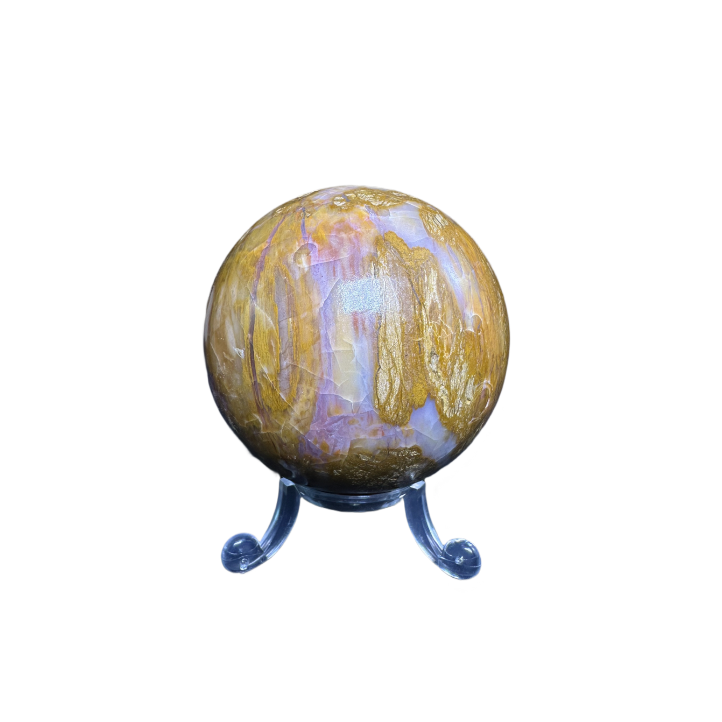 Petrified Wood Sphere