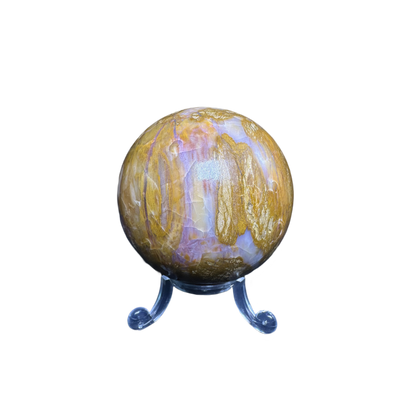 Petrified Wood Sphere