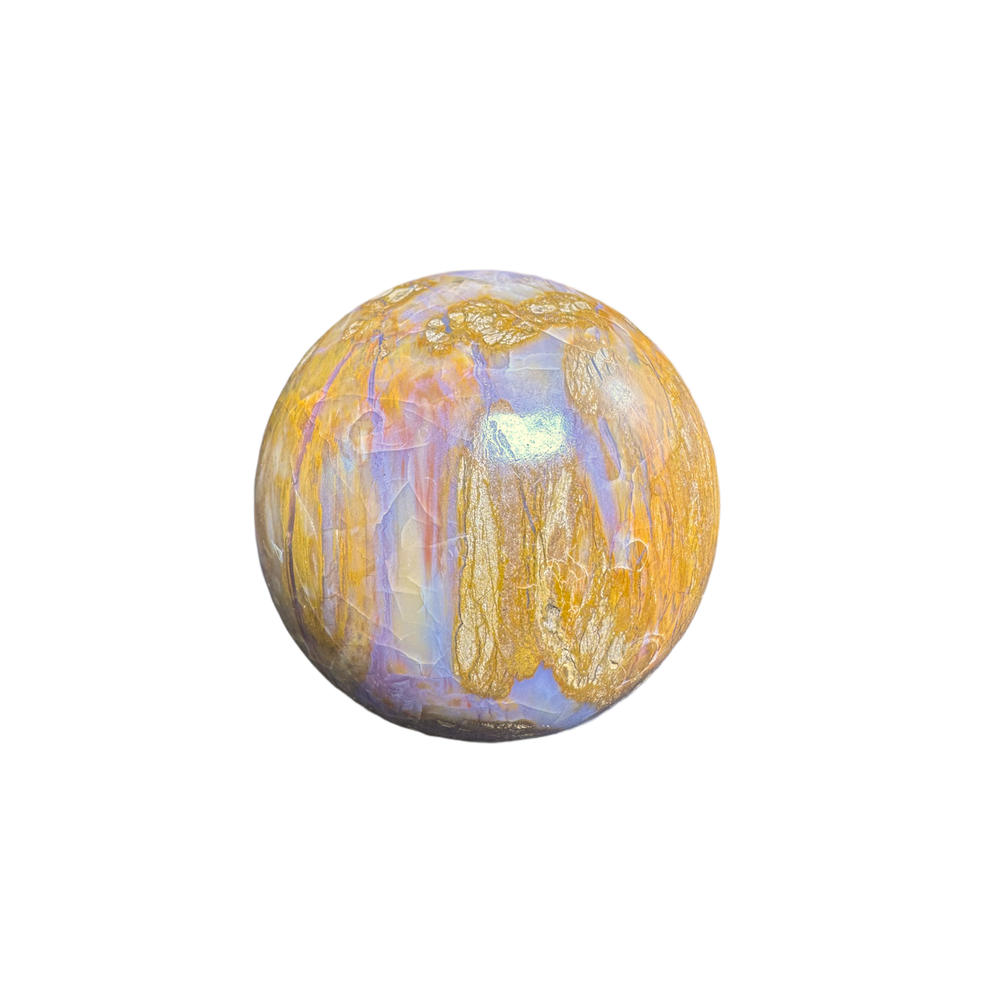 Petrified Wood Sphere