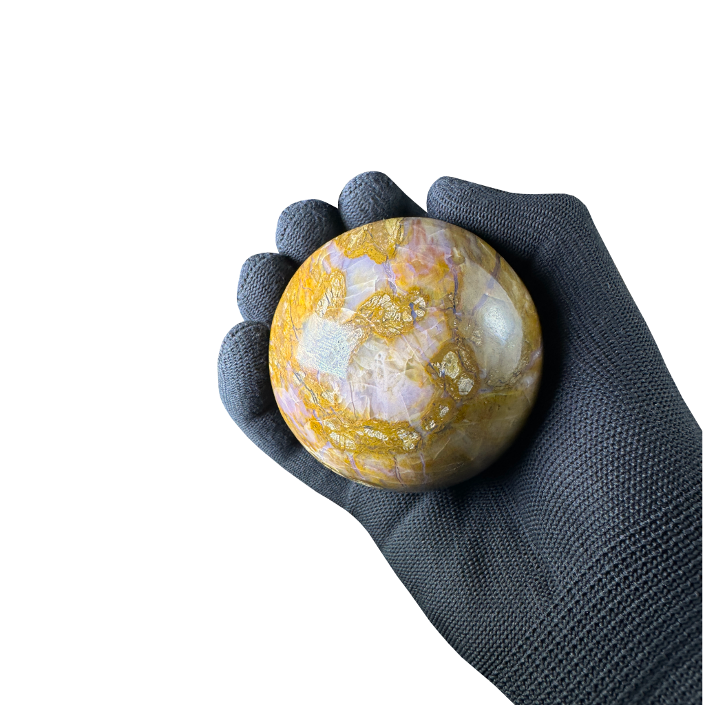 Petrified Wood Sphere