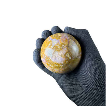 Petrified Wood Sphere
