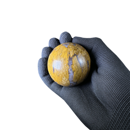 Petrified Wood Sphere