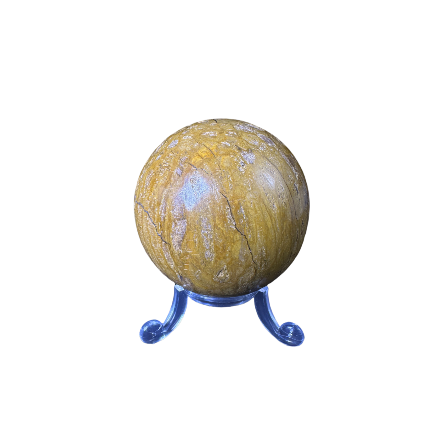Petrified Wood Sphere