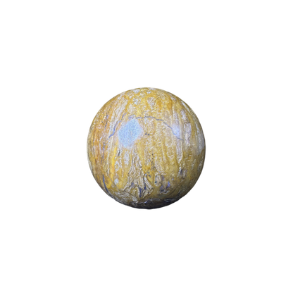 Petrified Wood Sphere