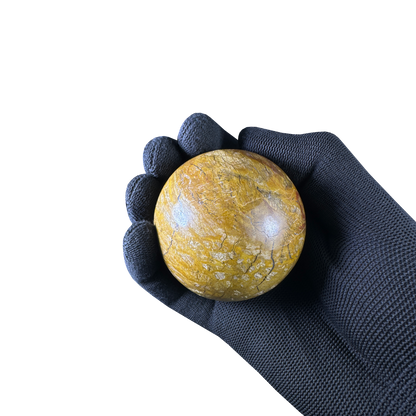 Petrified Wood Sphere