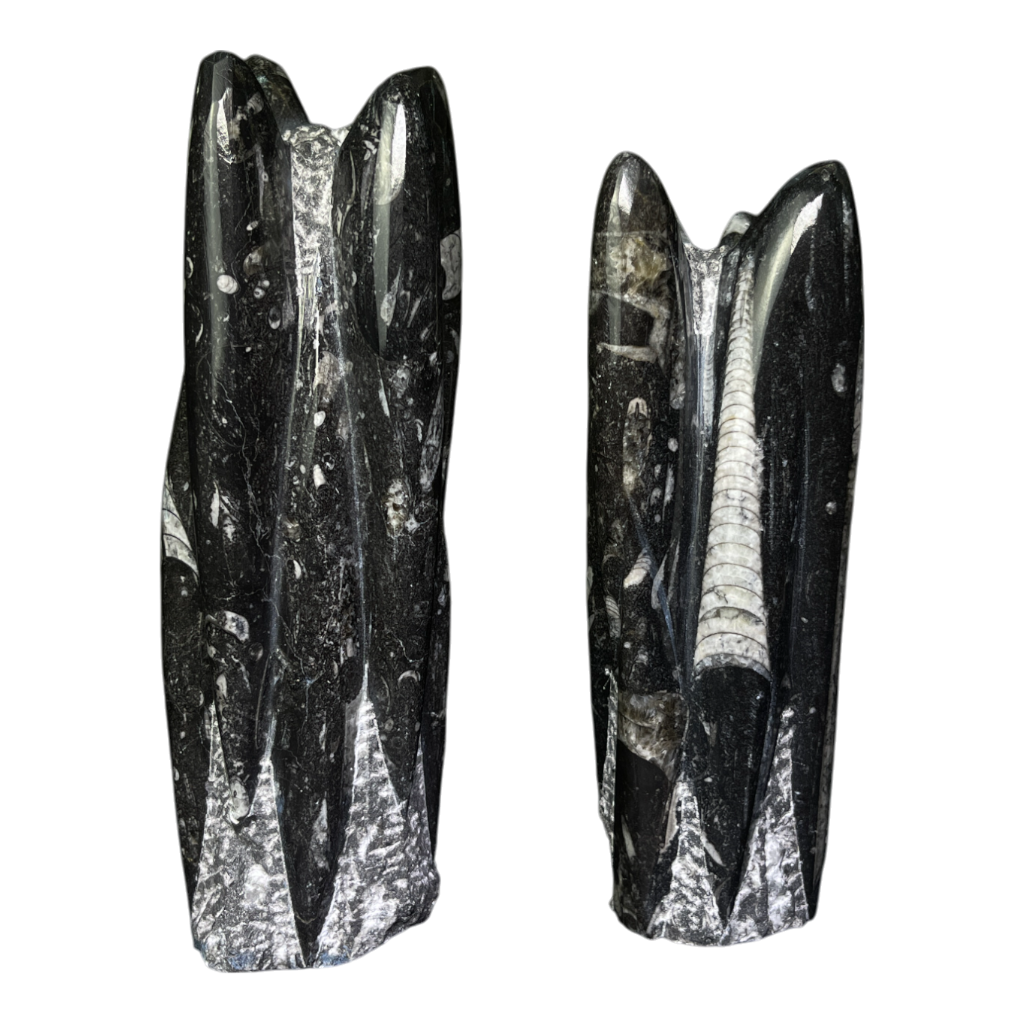 Orthoceras Tower