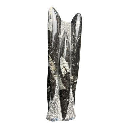 Orthoceras Tower