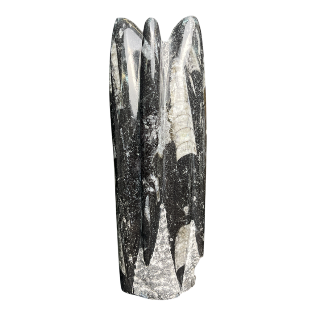 Orthoceras Tower
