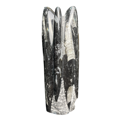 Orthoceras Tower