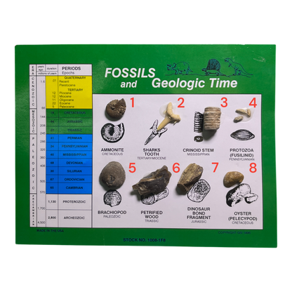 Fossils and Geological Time Set
