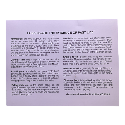 Fossils and Geological Time Set