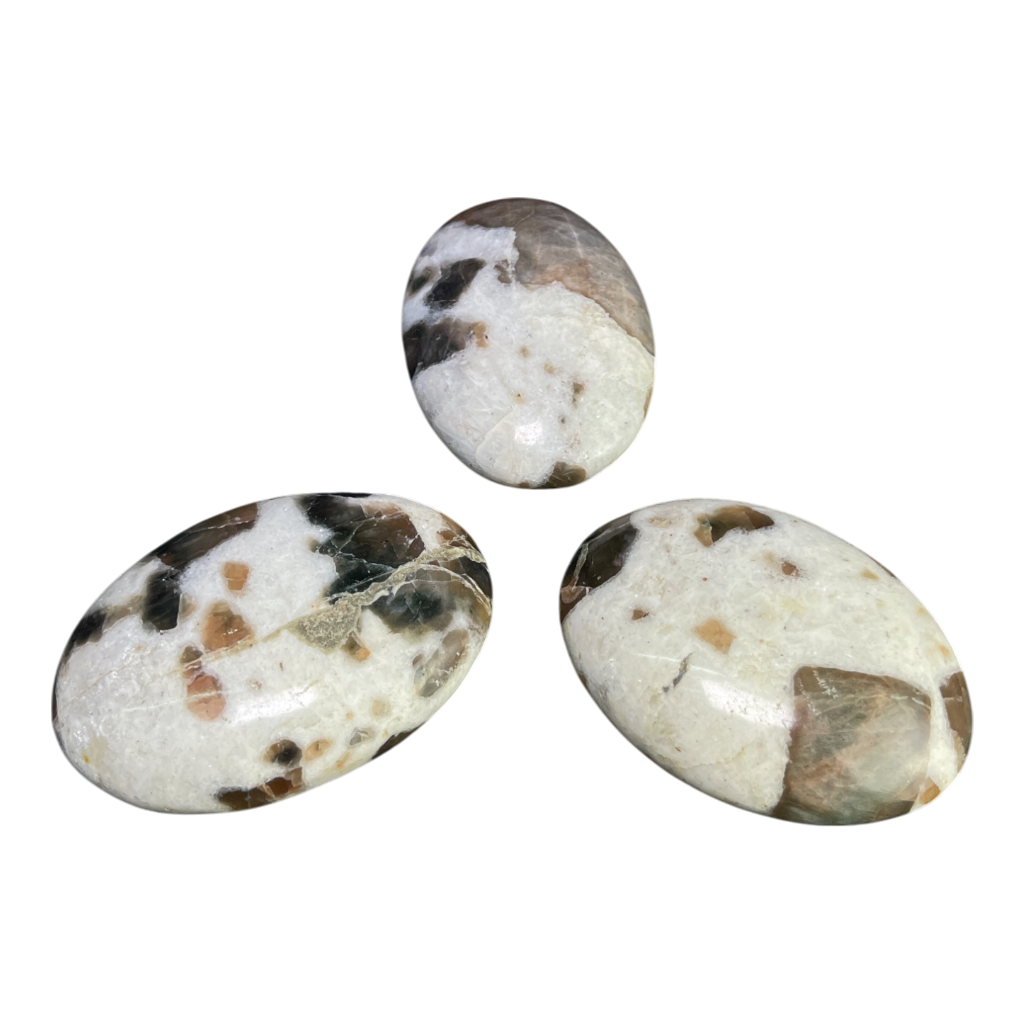 Brown Moon Stone Palm