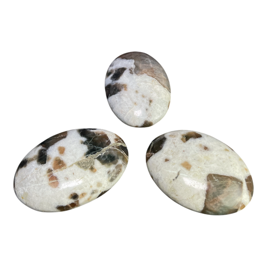 Brown Moon Stone Palm