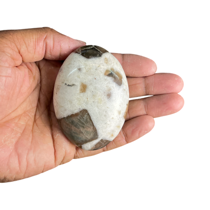 Brown Moon Stone Palm