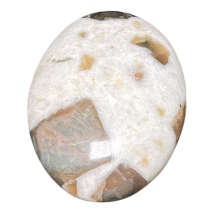 Brown Moon Stone Palm
