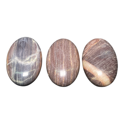 Brown Moon Stone Palm