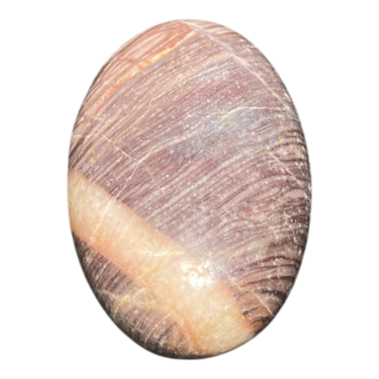 Brown Moon Stone Palm