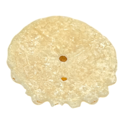 Heliophora orbicularis