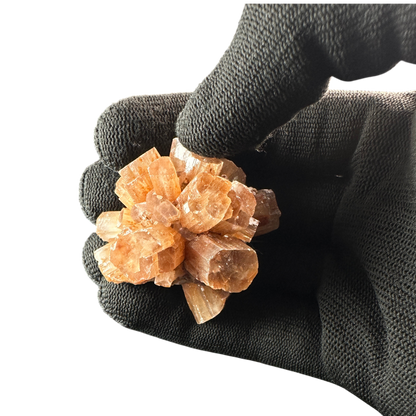 Aragonite