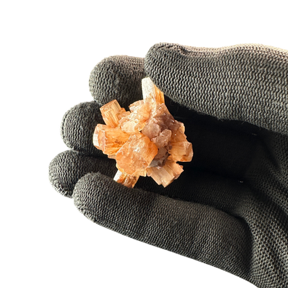 Aragonite