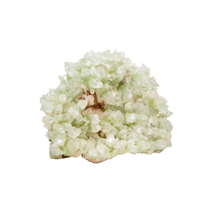 Green Apophyllite