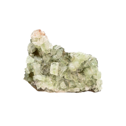 Green Apophyllite